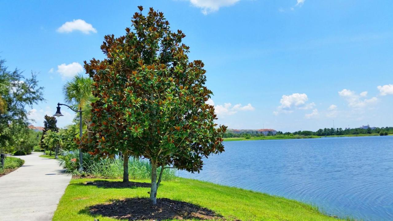 Ground-Floor Condo Next To Vista Cay Clubhouse And Pool! Орландо Экстерьер фото
